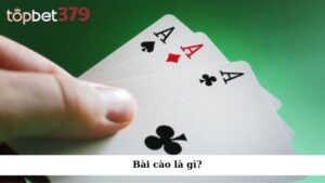 Bài cào là gì?