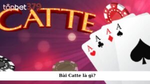 Bài Catte là gì?