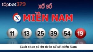 Cách chọn số dự đoán xổ số miền Nam