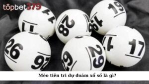 Mèo tiên tri dự đoán xổ số là gì?