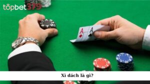 Xì dách là gì?